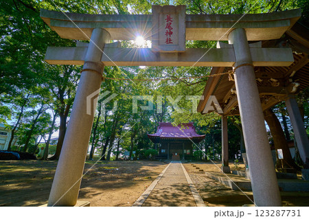 神奈川県川崎市多摩区の長尾神社(ながおじんじゃ)の鳥居越しに拝殿を見る 神奈川県川崎市多摩区の長尾神社(ながおじんじゃ)の鳥居越しに拝殿を見る 123287731