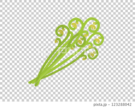 山菜の、わらびのイラスト 山菜の、わらびのイラスト 123288042