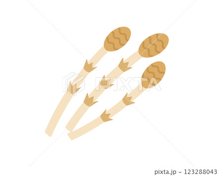 山菜の、つくしのイラスト 山菜の、つくしのイラスト 123288043