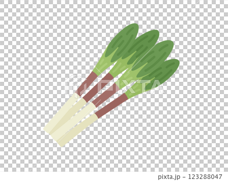 野菜野蒜的插圖 123288047