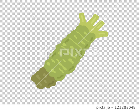 Illustration of wild vegetables, wasabi 123288049