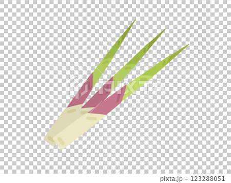 山菜和彎竹的插圖 山菜和彎竹的插圖 123288051