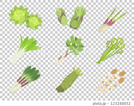 各種野菜的插圖集 123288052