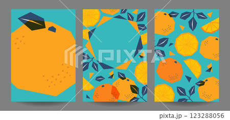 ラフなミカンのイラストのフライヤーテンプレートセット_2 123288056