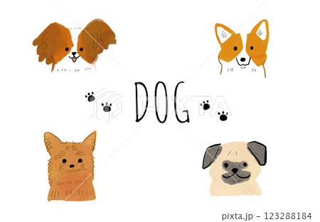 かわいい犬のセット 123288184