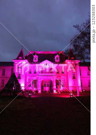 旧米沢高等工業学校本館　山形大学工学部　ライトアップ 123288303