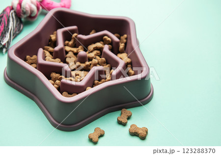 Star shaped slow feeder bowl for dogs 123288370