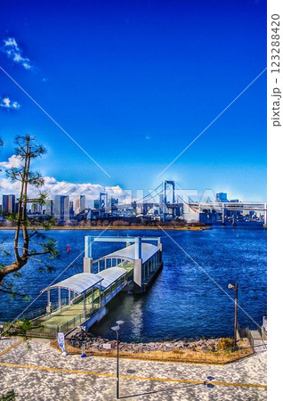 レインボーブリッジ遠景 レインボーブリッジ遠景 123288420
