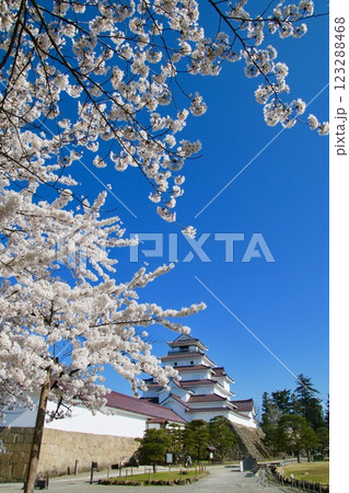春の鶴ヶ城（福島県・会津若松市） 123288468