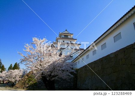 春の鶴ヶ城(福島県・会津若松市) 春の鶴ヶ城(福島県・会津若松市) 123288469
