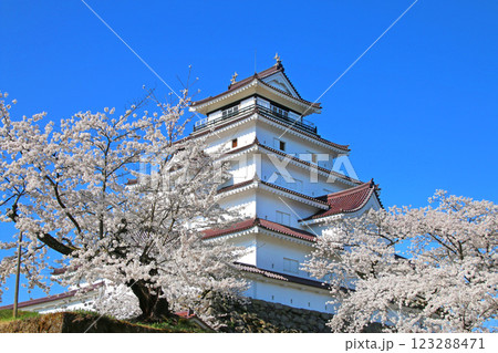 春の鶴ヶ城（福島県・会津若松市） 123288471