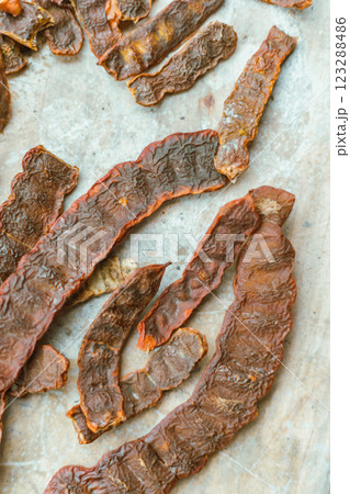 Close up Acacia concinna 123288486