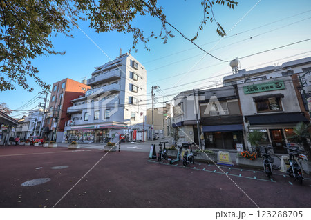 Train Station During Daytime with Tracks and Structures Visible, Tokyo Dec 4 2024 Train Station During Daytime with Tracks and Structures Visible, Tokyo Dec 4 2024 123288705