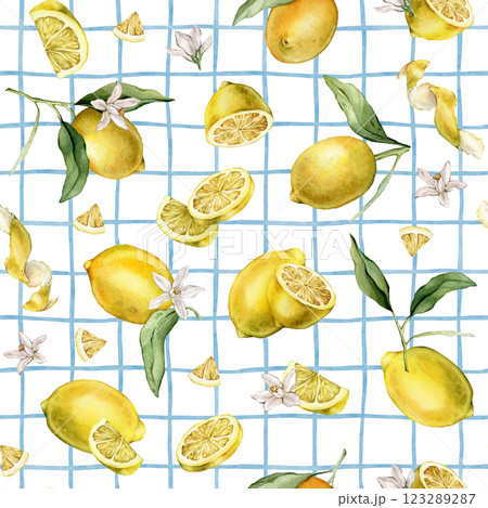 Seamless pattern with watercolor illustration of slice and whole lemon, peel Lemon on isolated light blue checkered background. Repeat ornament Hand painted lemon branch with leaf and white flowers. Seamless pattern with watercolor illustration of slice and whole lemon, peel Lemon on isolated light blue checkered background. Repeat ornament Hand painted lemon branch with leaf and white flowers. 123289287