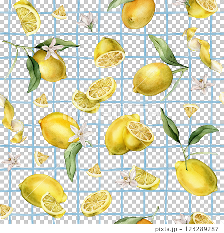 Seamless pattern with watercolor illustration of slice and whole lemon, peel Lemon on isolated light blue checkered background. Repeat ornament Hand painted lemon branch with leaf and white flowers. Seamless pattern with watercolor illustration of slice and whole lemon, peel Lemon on isolated light blue checkered background. Repeat ornament Hand painted lemon branch with leaf and white flowers. 123289287