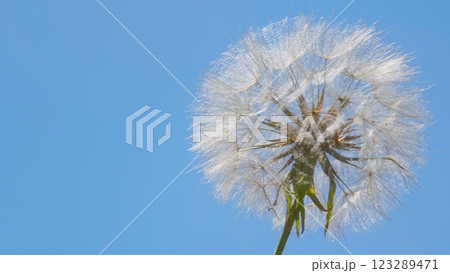 Spring Or Summer Natural Pastel Colored Lush Foliage. Goodbye Summer. Conceptual Picturesque Meaning Change. Spring Or Summer Natural Pastel Colored Lush Foliage. Goodbye Summer. Conceptual Picturesque Meaning Change. 123289471