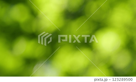 Forest Is A Natural Resource And Place For Recreation. Rich Green Leaves Of A Tree Waving. Travel Vacation Nature Concept. Gimbal shot. Forest Is A Natural Resource And Place For Recreation. Rich Green Leaves Of A Tree Waving. Travel Vacation Nature Concept. Gimbal shot. 123289500