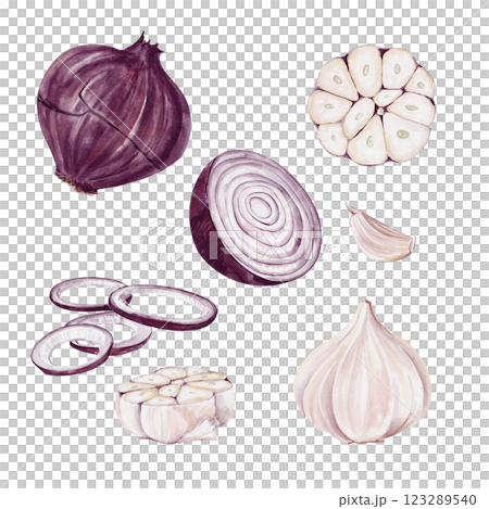 set of onions and garlic. Red and purple onions cut into rings, halves and whole vegetables. Garlic is cut into long and slices. Watercolor illustration isolated from background.  123289540