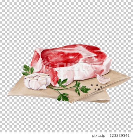 A piece of meat lies on paper with garlic and herbs. Raw steak with parsley and spices. Fresh beef or lamb or pork. The garlic is cut in half. Watercolor illustration isolated from background.  123289541