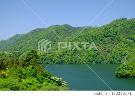 ミズキ咲く青い津久井湖　【相模原市津久井　5月】 123290171