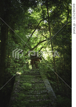 古い小さな祠、緑の森 123290349