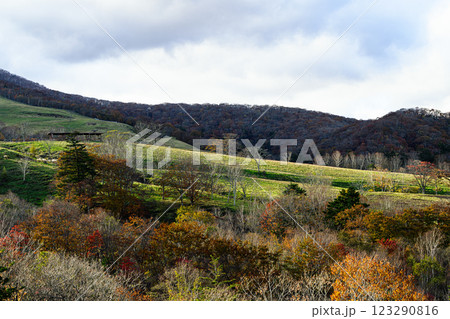 牧場の風景　秋の大笹牧場　日光霧降高原 123290816