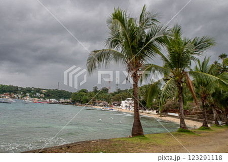 A view of a tropical coastline a rainy day. Palm trees, a dark sky, and ocean in the background A view of a tropical coastline a rainy day. Palm trees, a dark sky, and ocean in the background 123291118