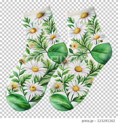 Socks Flowers Clipart Watercolor 123291162
