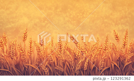 Golden wheat field under a hazy sky. The crop is ready for harvest, bathed in warm sunlight. An image representing abundance. 123291362