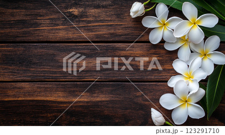Elegant tropical flowers with white petals and yellow centers rest on a rich, dark wooden surface creating a calm and welcoming atmosphere. 123291710