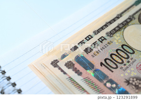 高額紙幣の束 123291899