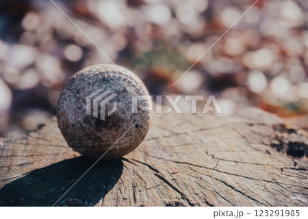 汚れたボール 123291985