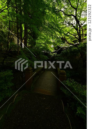 瑠璃光院の青紅葉 123292322