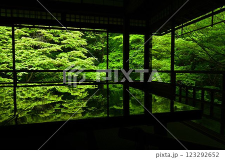 瑠璃光院の青紅葉 瑠璃光院の青紅葉 123292652