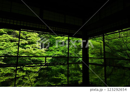 瑠璃光院の青紅葉 瑠璃光院の青紅葉 123292654