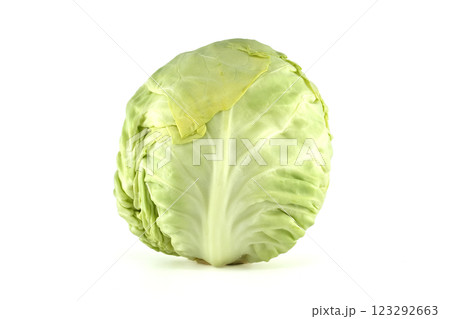 Fresh Green Cabbage Isolated on a White Background Fresh Green Cabbage Isolated on a White Background 123292663