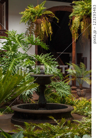 Ornate stone fountain surrounded by tropical plants in a serene courtyard setting 123293463