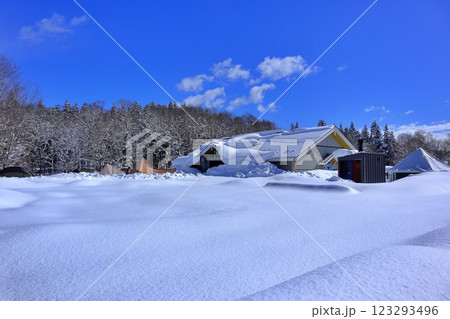 冬のキャンプ場 123293496