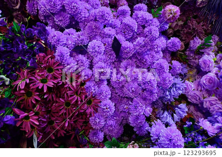 a bunch of purple lilac flowers a bunch of purple lilac flowers 123293695