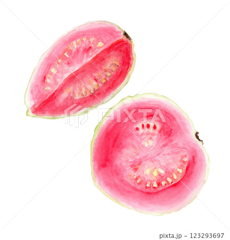 Ripe open pink guava quoter and a half watercolor set isolated on white. The hand-painted tropical fruit clip art is perfect for culinary designs, labels, prints, cards, packages, menu, home decor Ripe open pink guava quoter and a half watercolor set isolated on white. The hand-painted tropical fruit clip art is perfect for culinary designs, labels, prints, cards, packages, menu, home decor 123293697