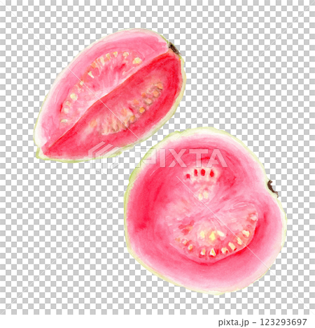 Ripe open pink guava quoter and a half watercolor set isolated on white. The hand-painted tropical fruit clip art is perfect for culinary designs, labels, prints, cards, packages, menu, home decor Ripe open pink guava quoter and a half watercolor set isolated on white. The hand-painted tropical fruit clip art is perfect for culinary designs, labels, prints, cards, packages, menu, home decor 123293697