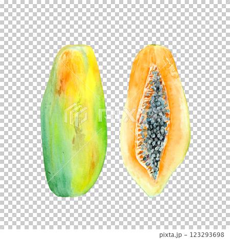 A fresh open and whole papaya watercolor set isolated on white. The hand-painted tropical textured fruit clip art is perfect for culinary designs, labels, prints, cards, packages, menu, home decor A fresh open and whole papaya watercolor set isolated on white. The hand-painted tropical textured fruit clip art is perfect for culinary designs, labels, prints, cards, packages, menu, home decor 123293698