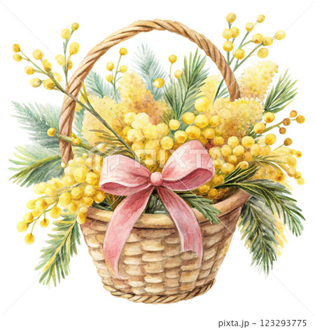 Bow Tie Basket Mimosa clipart watercolor  123293775