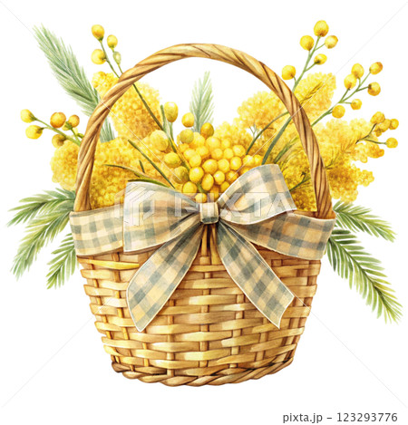 Bow Tie Basket Mimosa clipart watercolor  123293776