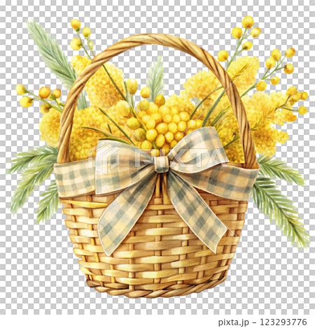 Bow Tie Basket Mimosa clipart watercolor  123293776