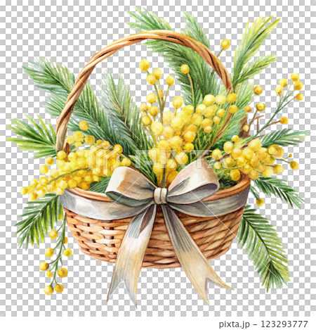 Bow Tie Basket Mimosa clipart watercolor  123293777