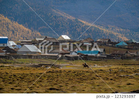 Rural village in a mountain valley during autumn season 123293897