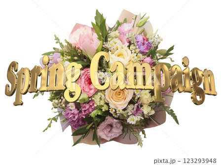 3DCG文字「Spring Campaign（スプリングキャンペーン）」 123293948
