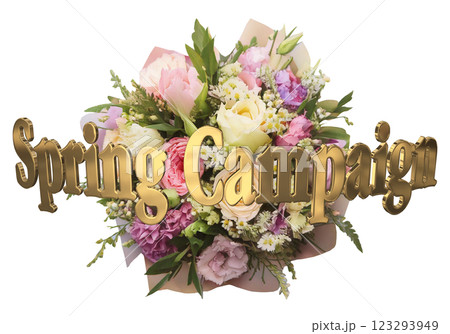 3DCG文字「Spring Campaign（スプリングキャンペーン）」 123293949