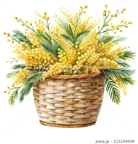 pots Mimosa clipart watercolor  123294099